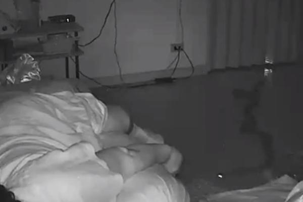 PRAVA NOĆNA MORA! Baku sa Tajlanda za nogu ujeo PITON dok je spavala! (VIDEO)