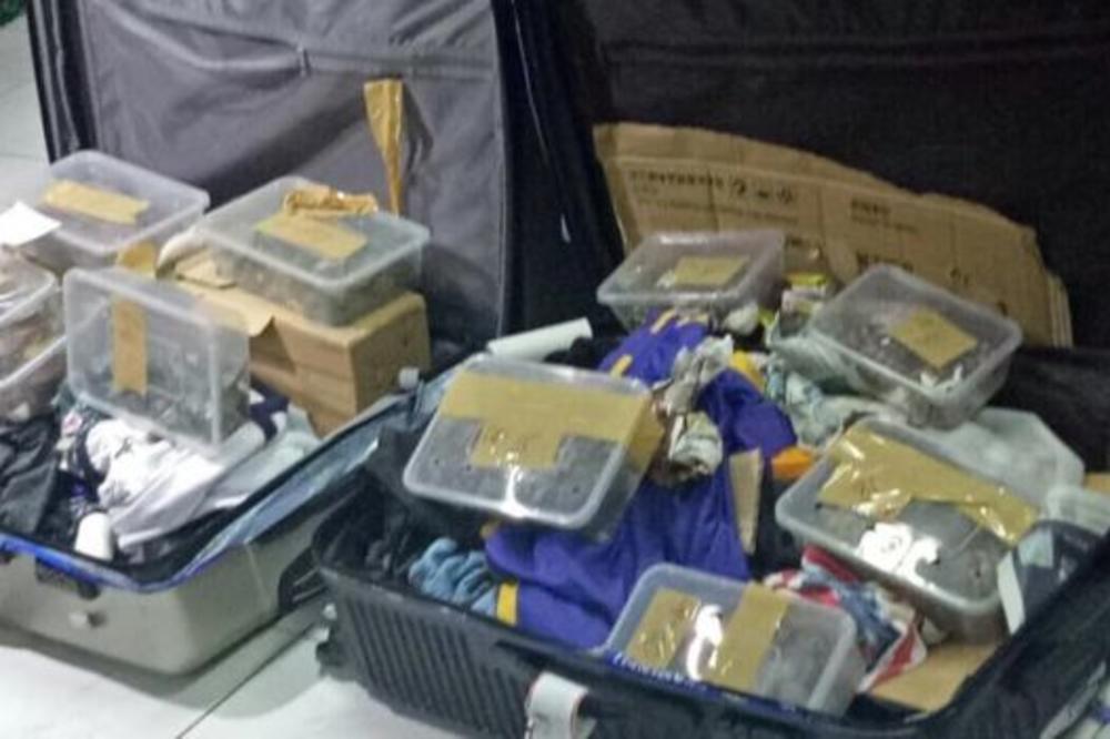 POLICIJA NA AERODROMU JE BILA ZGROŽENA: U ostavljenim koferima pronašli su nešto OKRUTNO! (FOTO)