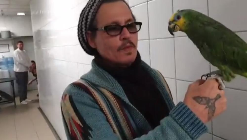 Slavni glumac je sa papagajem pričao srpski