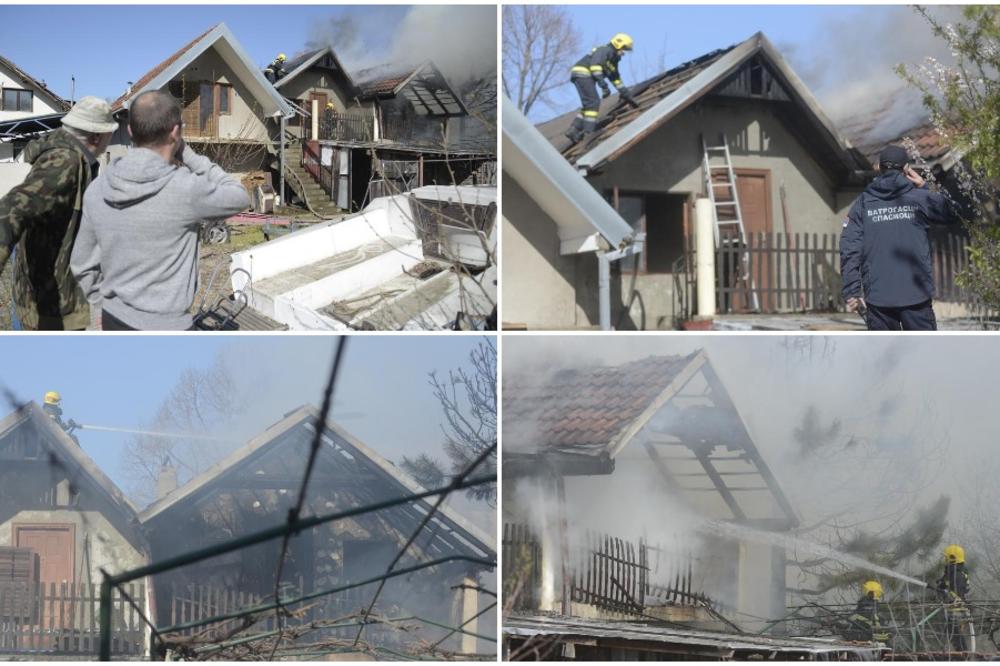 DRAMA U ZEMUNU: Gori kuća u Ohridskoj ulici, dim kulja na sve strane (FOTO) (VIDEO)