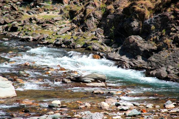 CRNOGORCI BESNI NA ALBANCE: U reku Bojanu bacili im crknutu živinu, ali tu nije kraj (FOTO)