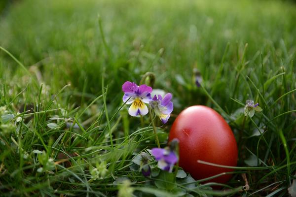 SPREMITE ČUVARKUĆU NA POTPUNO PRIRODAN NAČIN: Uskršnje jaje biće blistavo CRVENO!