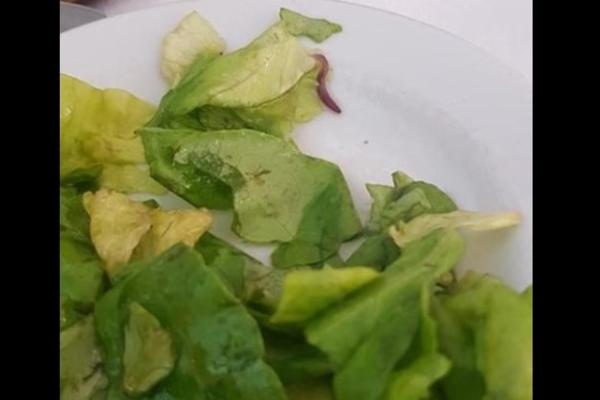 SAMO POMAKNEŠ GOSTA I NASTAVIŠ DA JEDEŠ: Studentima uz salatu poslužili i CRVA! (FOTO)