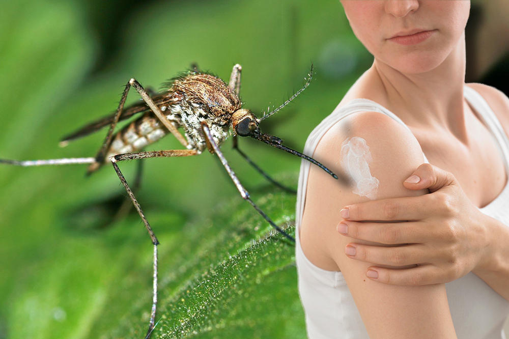 BEOGRAĐANI, JAVITE SE LEKARU AKO OSETITE 1 OD 4 SIMPTOMA: Virus Zapadnog Nila pronađen na komarcima