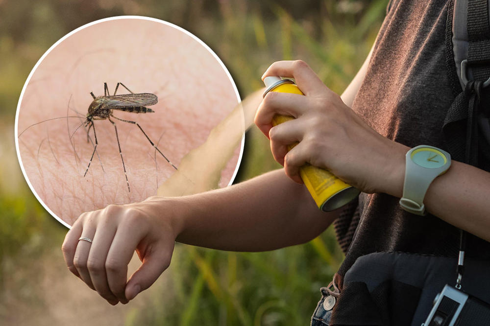 VAŽNO OBAVEŠTENJE ZA BEOGRAĐANE: I danas akcija suzbijanja komaraca