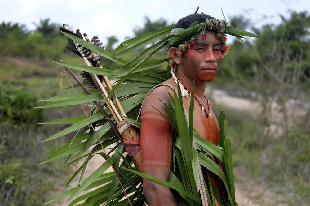 AMAZONSKA PLEMENA PONOVO KREĆU U BORBU SA BELIM ČOVEKOM: Lukom i strelom protiv DRVOSEČA koji uništavaju njihov dom