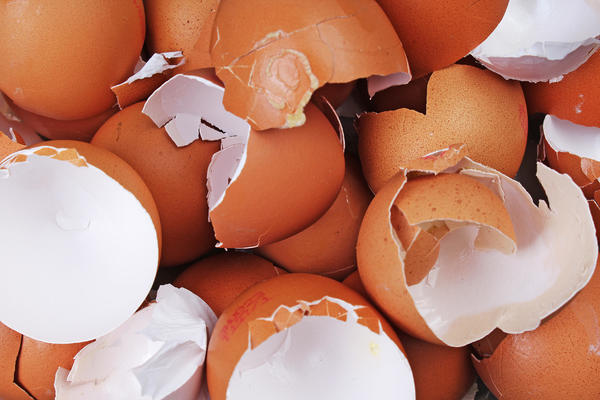 KONTAMINIRANE LJUSKE MOGU UZROKOVATI BOLEST: Da li je potrebno prati jaja i koje greške svi najčešće pravimo?
