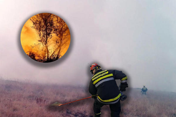 NEMA DOVOLJNO LJUDI ZA GAŠENJE POŽARA Vatrogasci se bore s vatrenom stihijom, potresne FOTOGRAFIJE sa Stare planine