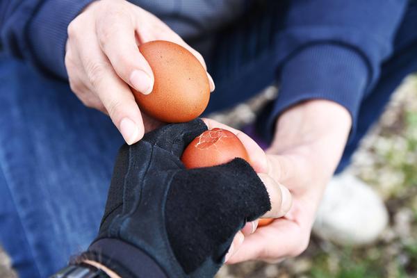POSTOJI ODLIČAN TRIK I UVEK ĆETE POBEDITI: Evo kako da budete prvi u kucanju jajima