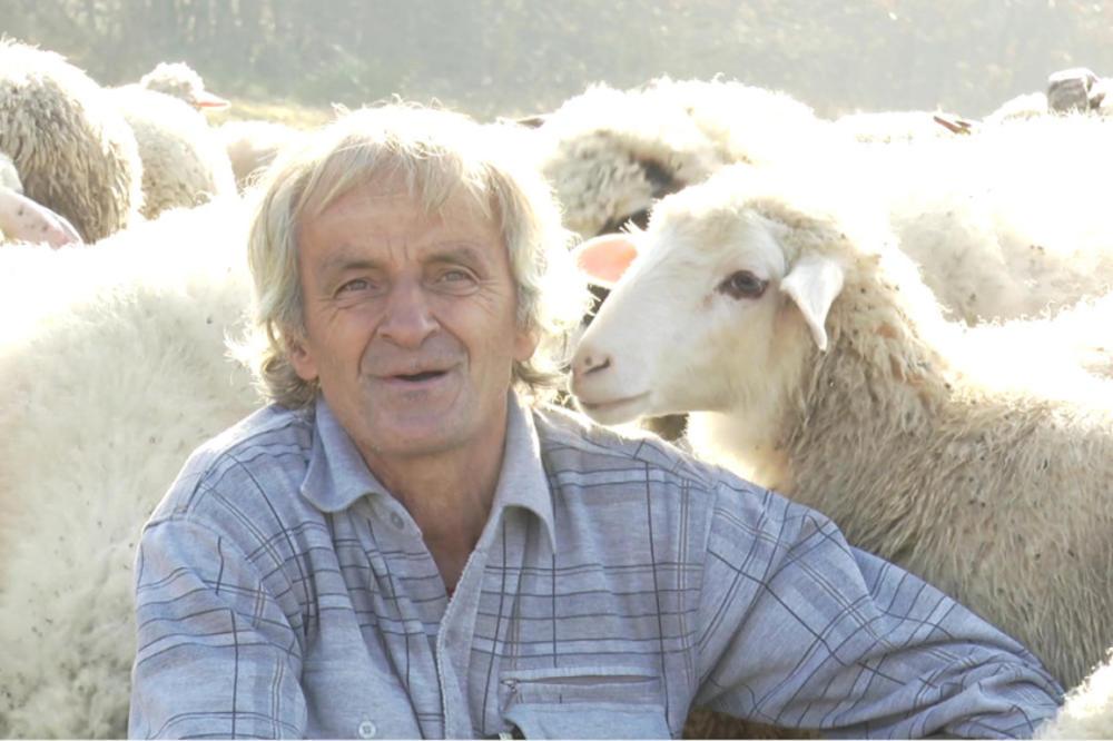 LJUBIVOJE (67) NEMA VREMENA DA RAZMIŠLJA O KORONI: Živi sam, ali mora da brine o 80 jagnjoća, ovako mu izgleda dan