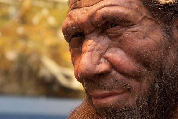 ITALIJA: U pećini Guatari pronađeni ostaci neandertalaca