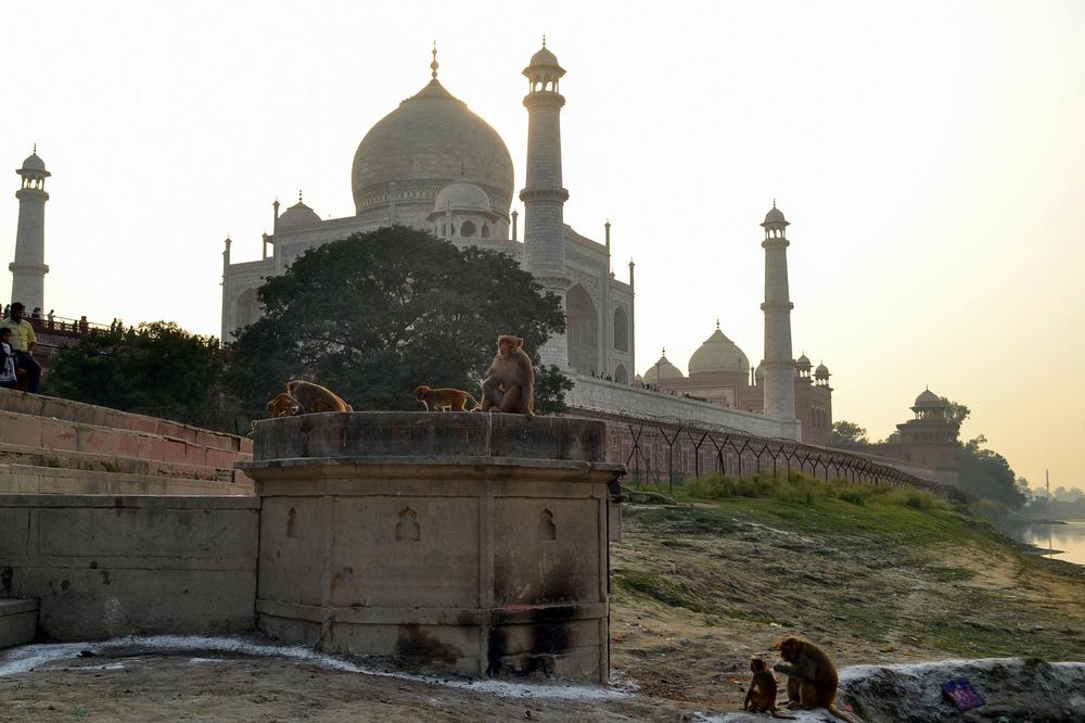 STRAVIČNA OLUJA UDARILA NA JEDNO OD 7 SVETSKIH ČUDA: Tadž Mahal ruiniran pod ogromnim naletima vetra i gromova!