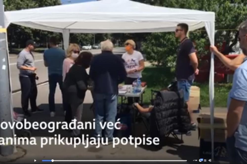 Stanovnici Novog Beograda ne dozvoljavaju seču drvoreda lipa radi gradnje pešačkog mosta ka Adi (video)