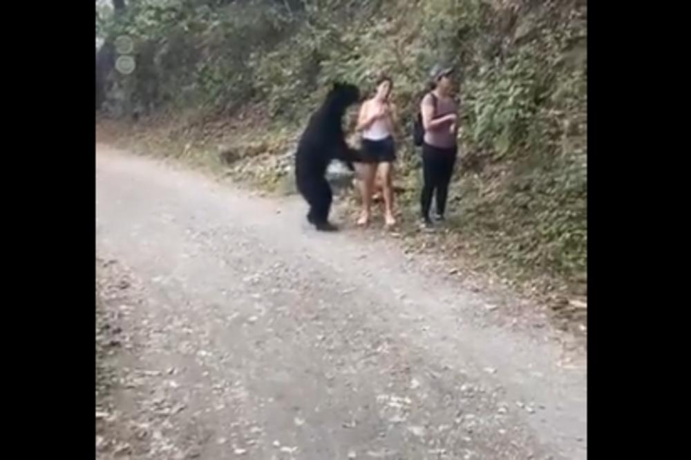 BEZGRANIČNA HRABROST: Devojkama je prišao medved, ono što je ona uradila zadivilo je sve