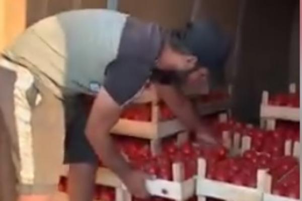"NEĆE BITI JEFTINIJI, SVE IZGORE": Znate li kolika je cena paradajza na pijaci?