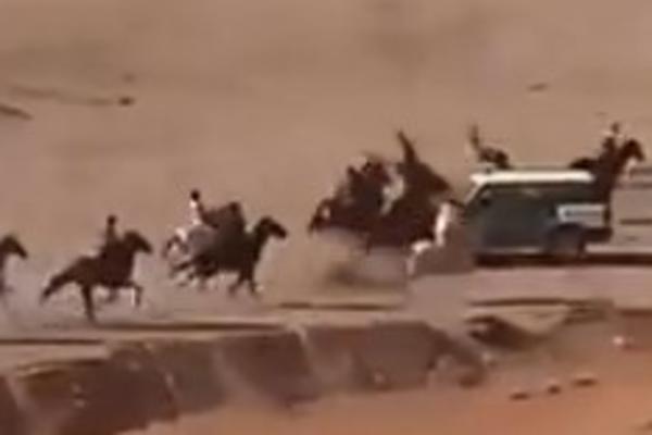 Policijski DŽIP uleteo je USRED konjske TRKE i napravio MASAKR! Životinje su LEŽALE preko svojih DŽOKEJA! (VIDEO)