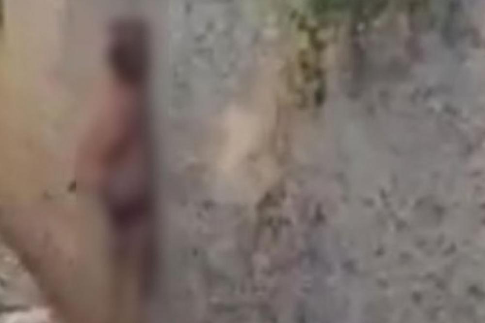 NEZAPAMĆEN HOROR U BEOGRADU: Društvenim mrežama se širi brutalan snimak - obesili psa i ostavili da visi (VIDEO)