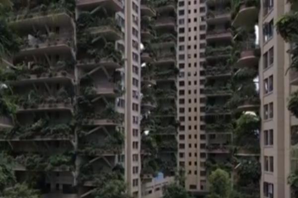 NAJEZDA INSEKATA, LJUDI BEŽE NA SVE STRANE: Kako je propao VELIKI kineski projekat BUDUĆNOSTI stanovanja (VIDEO)