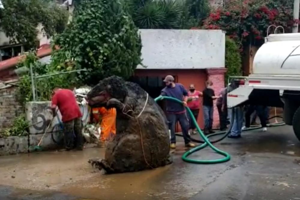 RADNICI GRADSKE ČISTOĆE NISU MOGLI DA VERUJU ŠTA VIDE: U kanalizaciji su pronašli OVOG giganta! (VIDEO)
