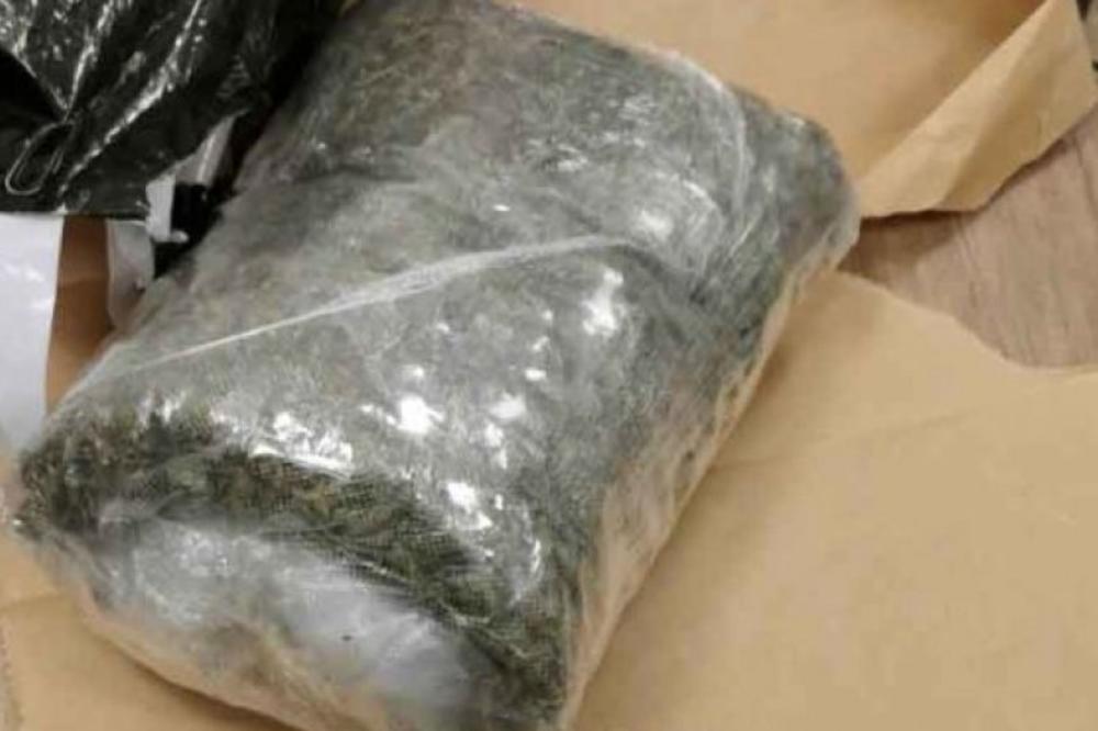 ČAČANSKA POLICIJA UHAPSILA DEVOJKU (19): Pronašli 53 paketića marihuane!