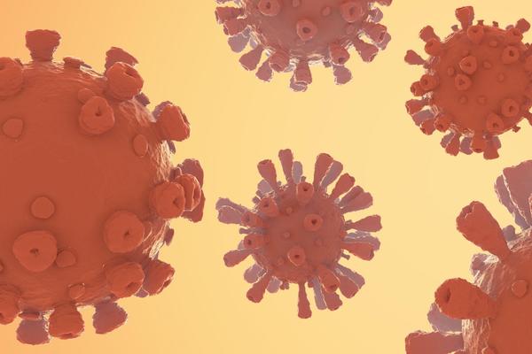 SZO: Sve hipoteze o poreklu koronavirusa ostaju otvorene!