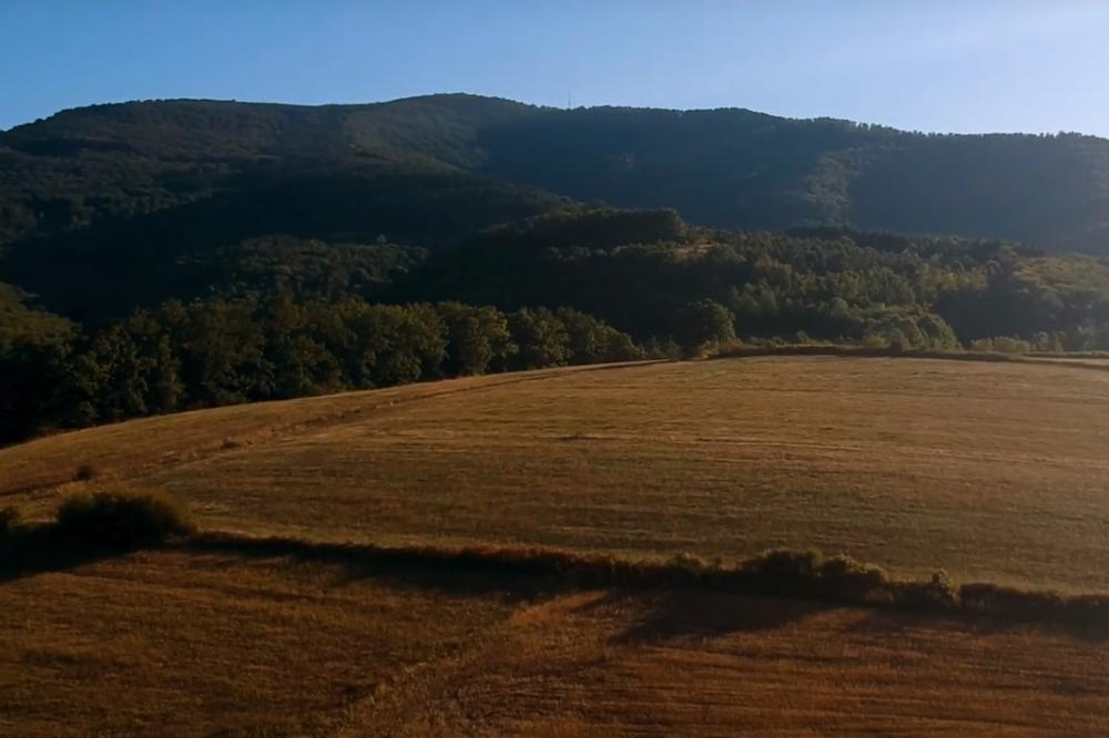 ZELENO BLAGO BALKANA NALAZI SE UPRAVO U SRBIJI: Možete li da pogodite koja je planina na fotografiji? (FOTO)
