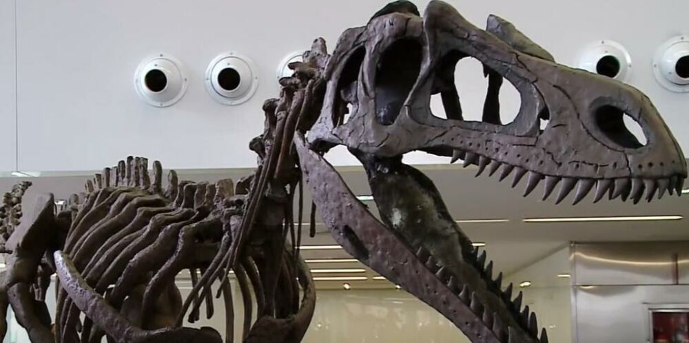 Skelet dinosaurusa