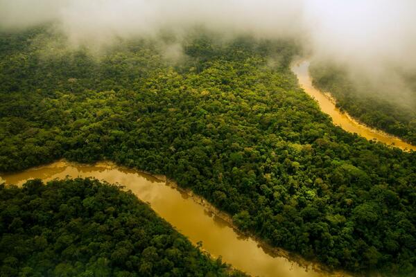 "PLUĆA SVETA" VIŠE NE DIŠU: Amazonska prašuma emituje više UGLJEN DIOKSIDA nego što je u stanju da apsorbuje!