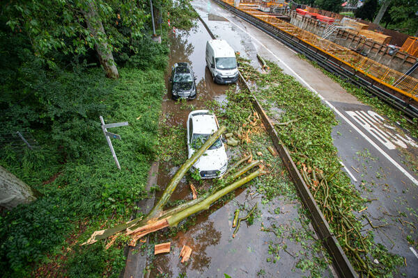 U SEVERNOJ IRSKOJ MUŠKARAC PRVA ŽRTVA VREMENSKE NEPOGODE: U oluji Arven drvo mu palo na automobil