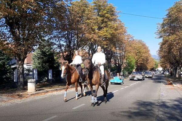 VELIČANSTVENA SLIKA: Mihailo i Ljubica Karađorđević na konjima, predvodili kolonu vremešnih oldtajmera (FOTO)