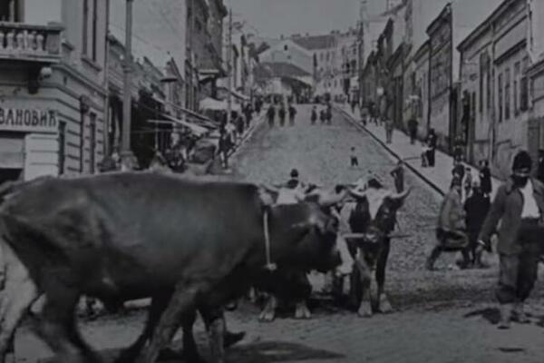 VOLOVI SLOBODNO ŠETAJU ULICAMA, ŽENE ZAVIJENE U MARAME: Ovako je Beograd izgledao davne 1922. godine (VIDEO)