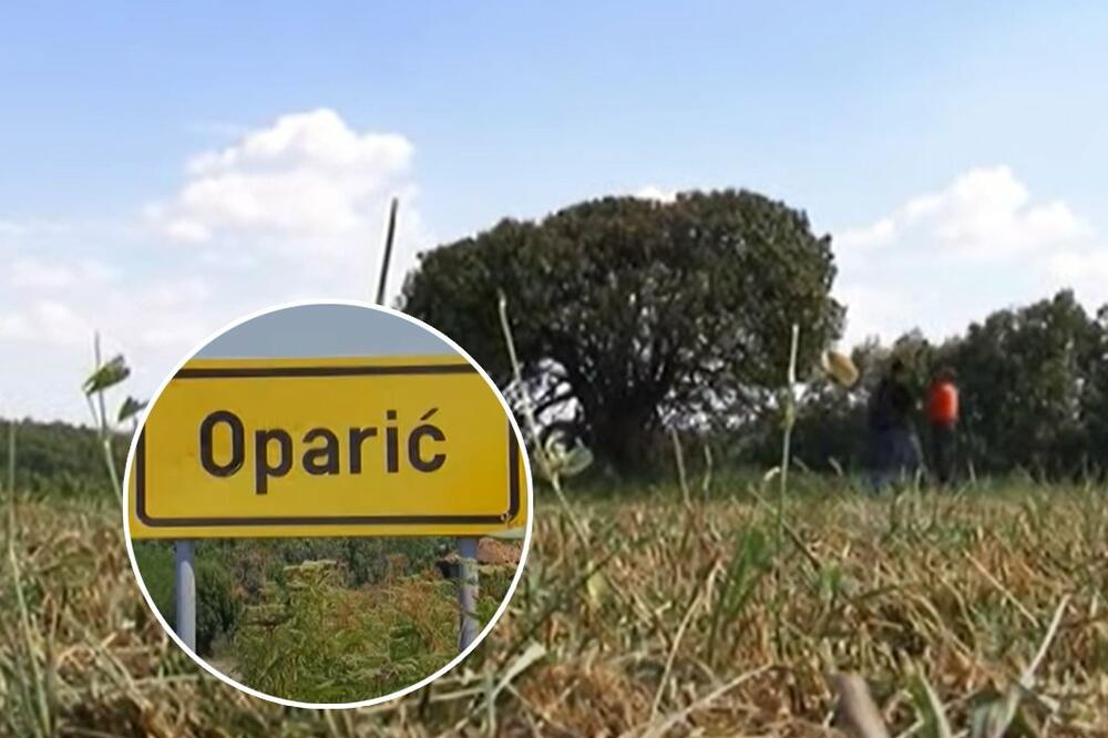 Mileta iz sela Oparić hteo da poseče DRVO, pa umalo izgubio glavu! Seljaci kažu: to je KLETVA (VIDEO)