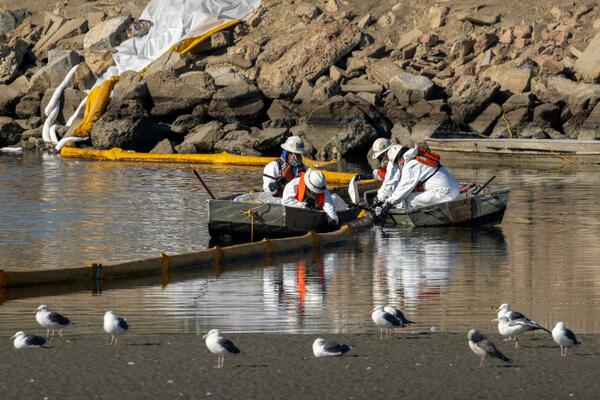 EKOLOŠKA KATASTROFA OGROMNIH SRAZMERA: Izlila se nafta na južnoj obali Kalifornije, masovni pomor ribe! (FOTO)