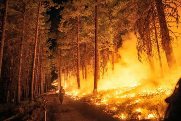 OGROMAN POŽAR U PORTUGALIJI: Gori park prirode, preko 1000 vatrogasaca SMIRUJE VATRENU STIHIJU!