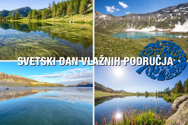 DANAS SE OBELEŽAVA SVETSKI DAN VLAŽNIH PODRUČJA: U Srbiji imamo 11 VAŽNIH vodenih i močvarnih STANIŠTA (FOTO)