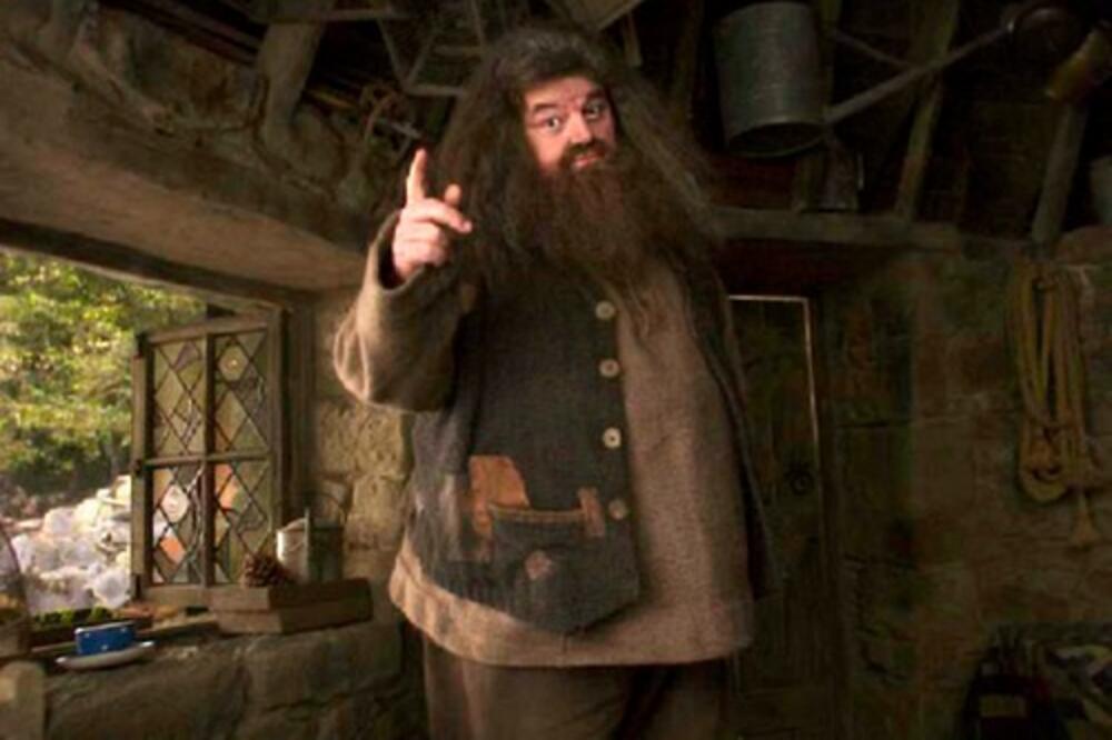 OMILJENI DŽIN DOBRICA IZ NAJPOPULARNIJE BAJKE HARI POTER OSTAO U KOLICIMA I SPAVA U ŠTALI: Ovako živi Hagrid!