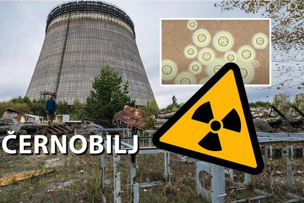 RUSKA VOJSKA "ISKOPALA OTROVNO NASLEĐE" ČERNOBILJA: Radioaktivni materijal raspršen u ove 3 zemlje?