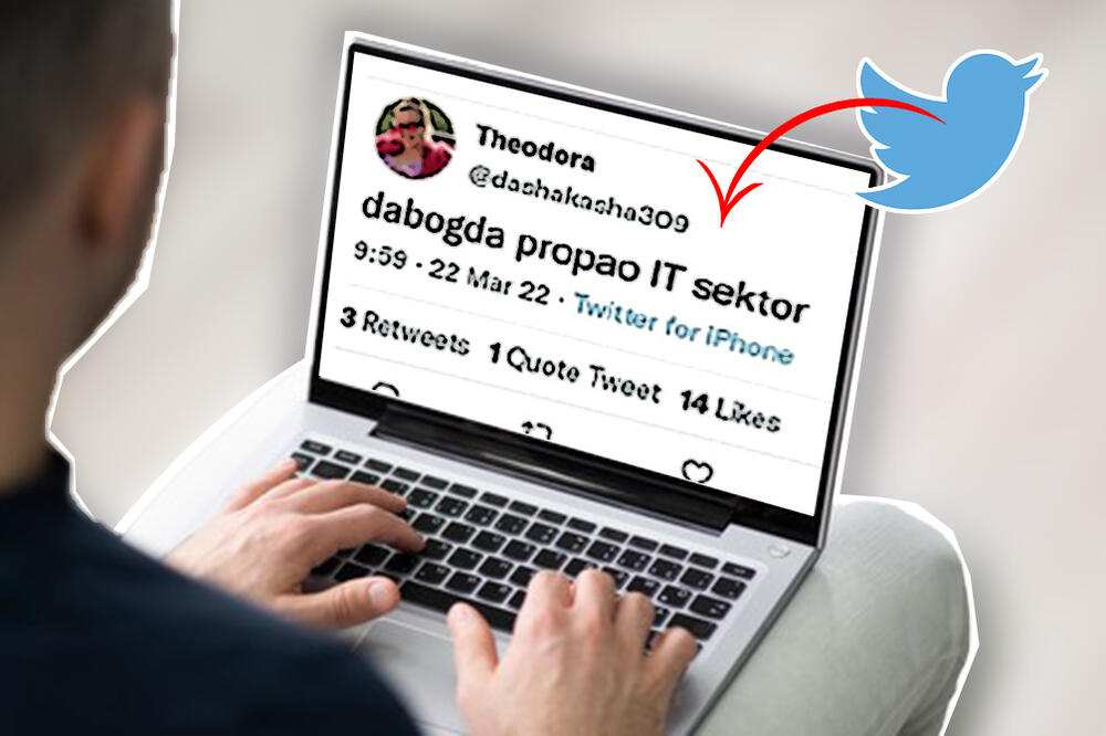 "DABOGDA PROPAO IT SEKTOR": Tviterašica PROGRAMERE nazvala SLEPCIMA i NAVUKLA ŽESTOK GNEV NA SEBE! (FOTO)