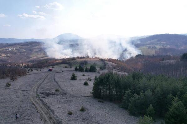 VELIKI ŠUMSKI POŽAR KOD ČAČKA: 15 vatrogasaca se bori sa VATRENOM STIHIJOM, gori drveće i rastinje (FOTO)