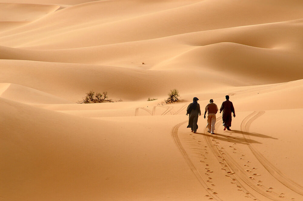 Mudraci u pustinji