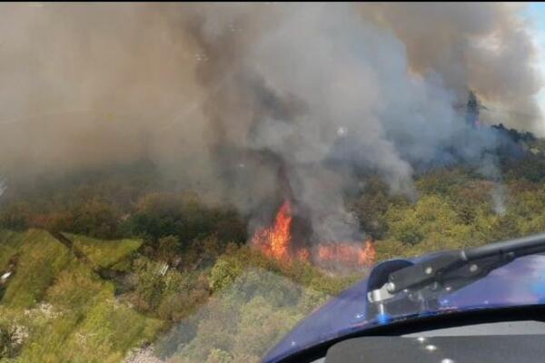 ISTRA PONOVO GORI: Opet rasplamsala vatra u četinarskoj šumi