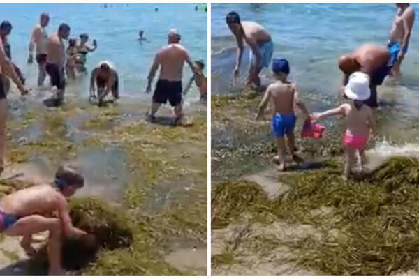 "KO KAŽE DA BRAĆA MAKEDONCI I SRBI NE MOGU ZAJEDNO": Alge preplavile plažu, turisti se bacili u AKCIJU! (VIDEO)