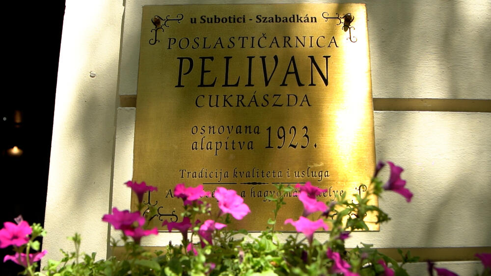 Pelivan