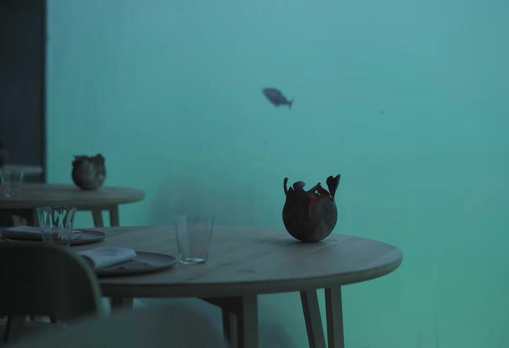 Restoran pod vodom, Restoran Under, Podvodni restoran