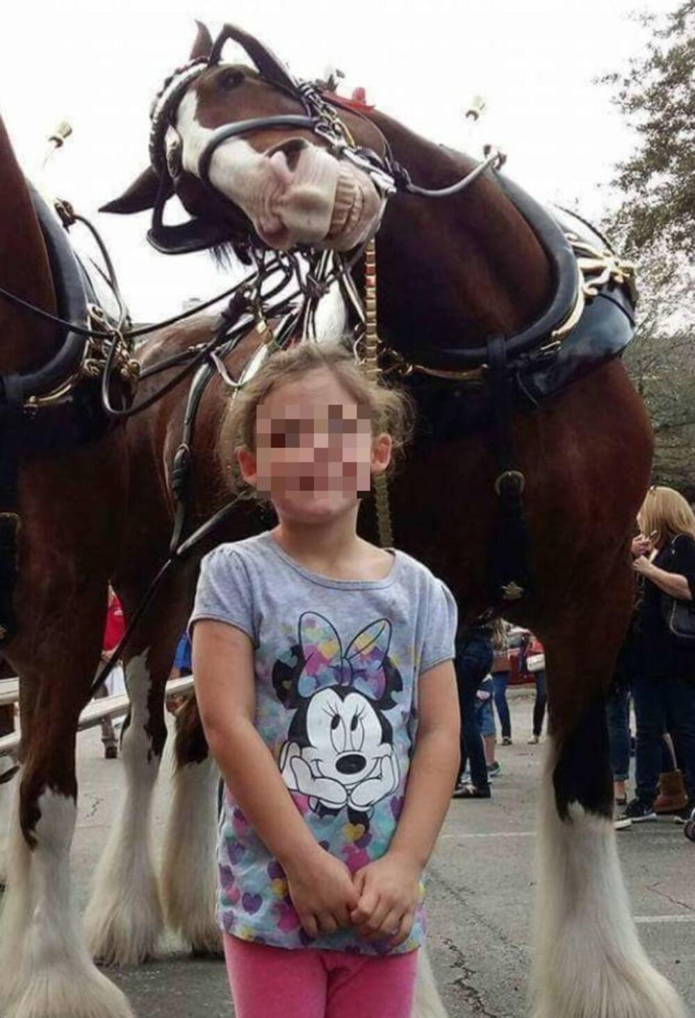 Devojčica sa konjem