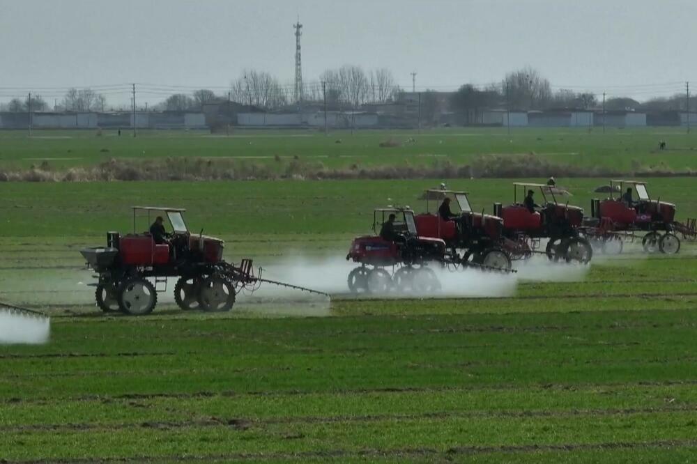 Nauka i tehnologija povećavaju poljoprivredni razvoj Kine! VIDEO