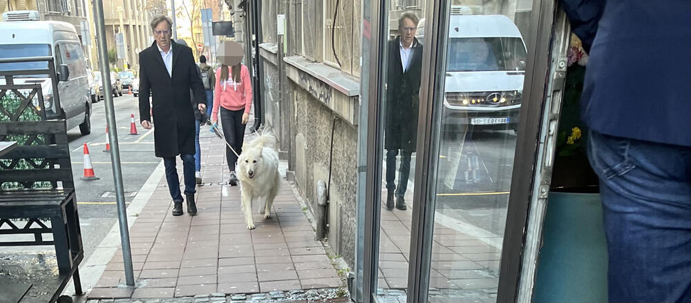 Espreso paparco uhvatio slavnog glumca dok šeta psa u centru grada