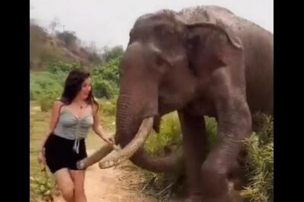 UZNEMIRUJUĆI SNIMAK: Provocirala slona bananom, pa NADRLJALA kad je GRDOSIJA izgubila strljenje (VIDEO)