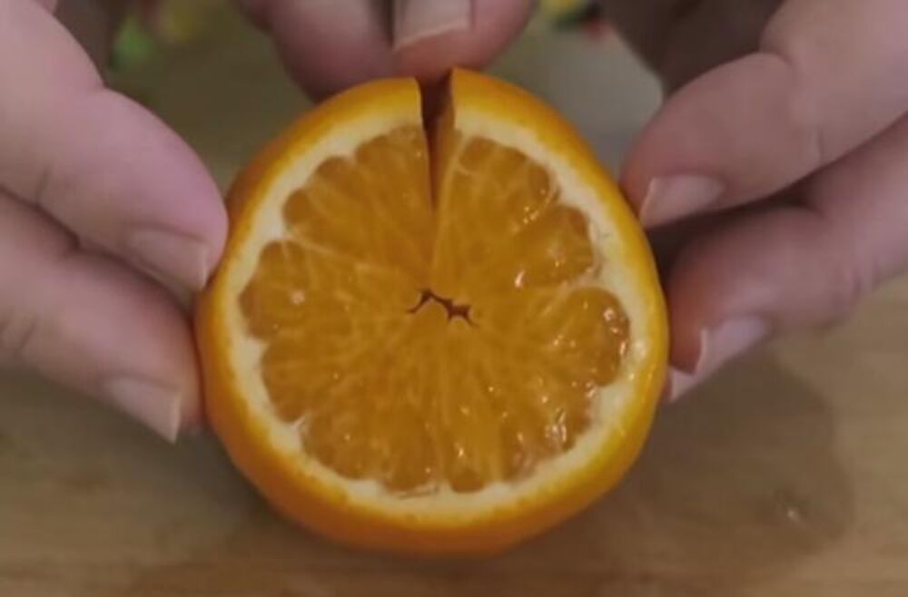 Narandža, ilustracija