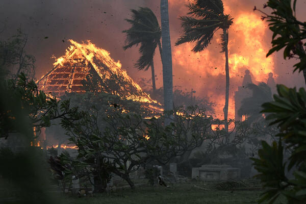 NAJGORA PRIRODNA KATASTROFA U ISTORIJI DRŽAVE: U požarima na HAVAJIMA umrlo 114 ljudi, 850 se vodio kao NESTALO